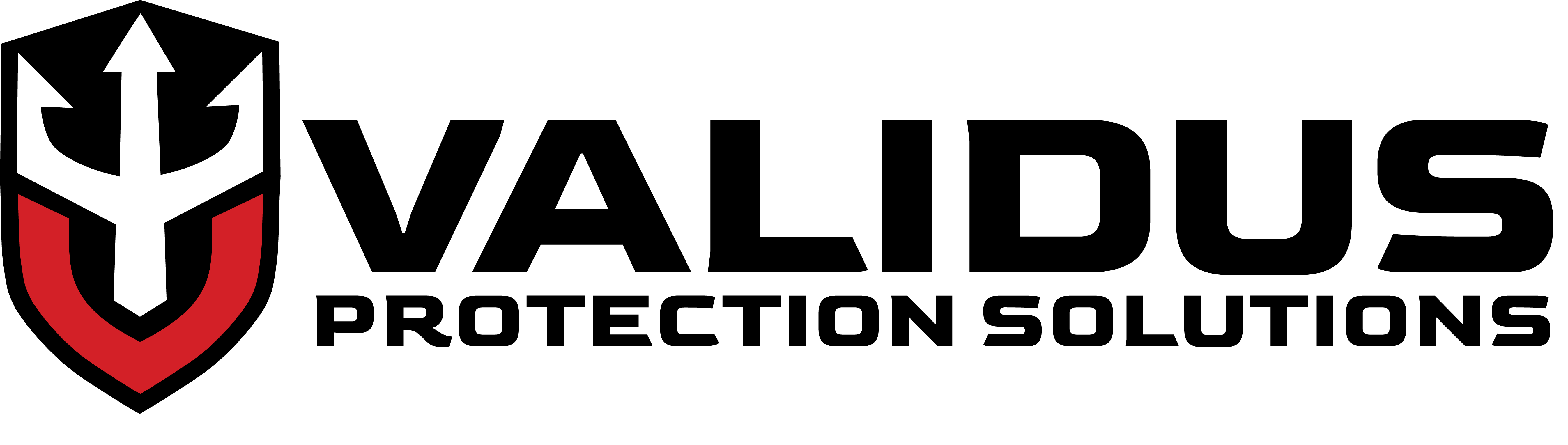 Validus Protection Solutions