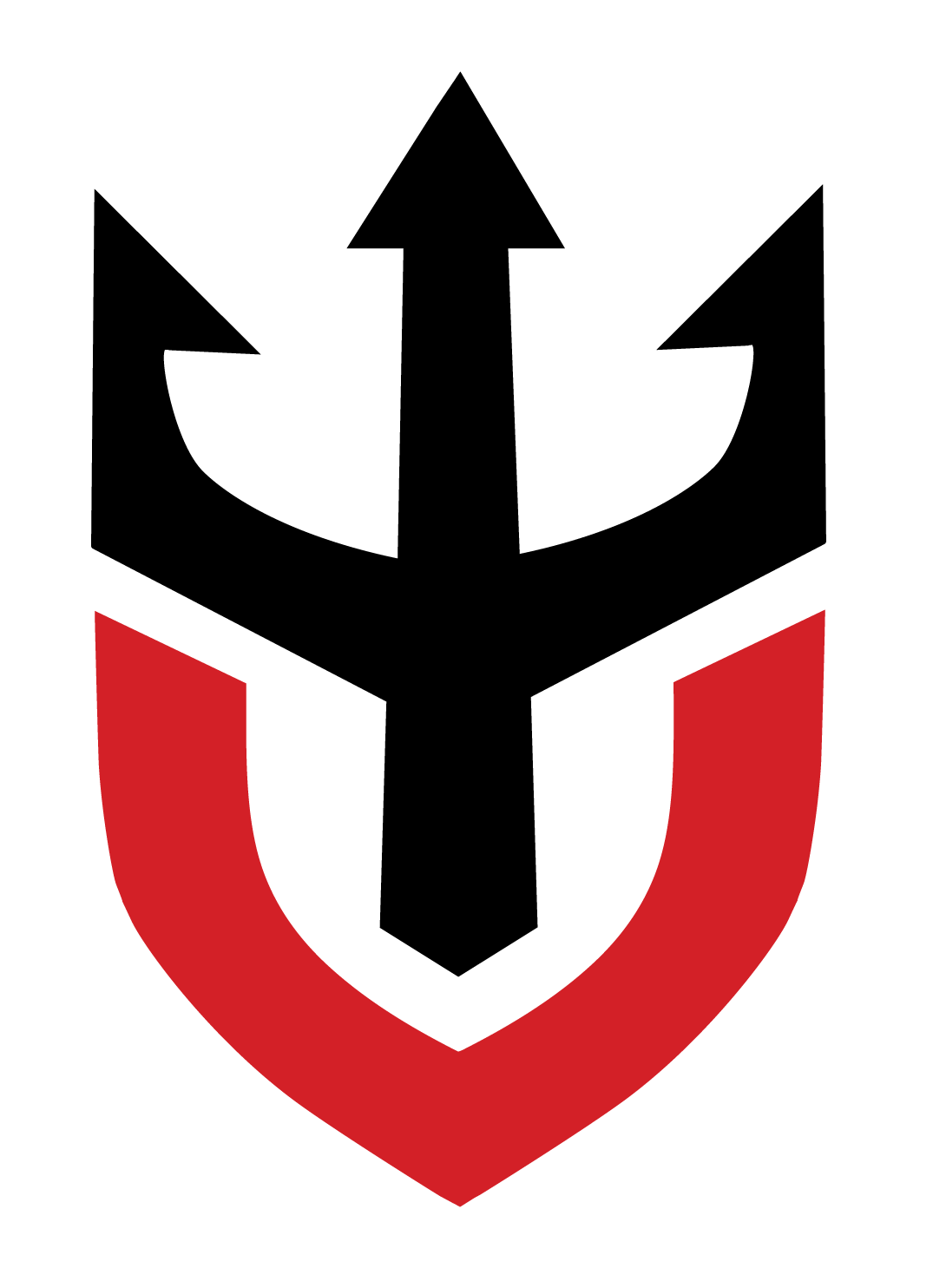 Validus logo